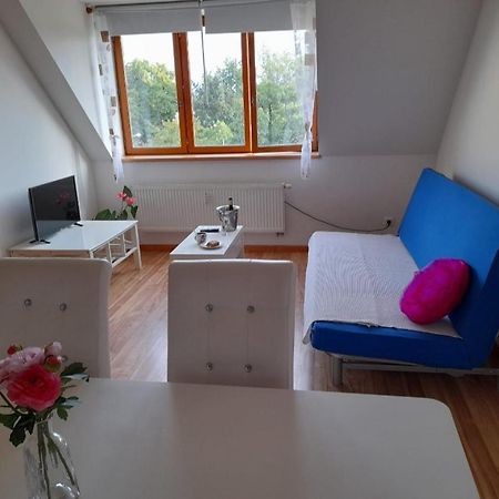 Ferienwohnung Riegrova Budweis Exterior foto